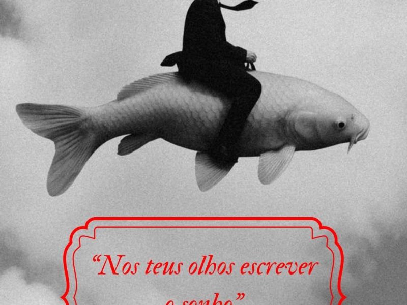 Nos teus olhos escrever o&nbsp;sonho