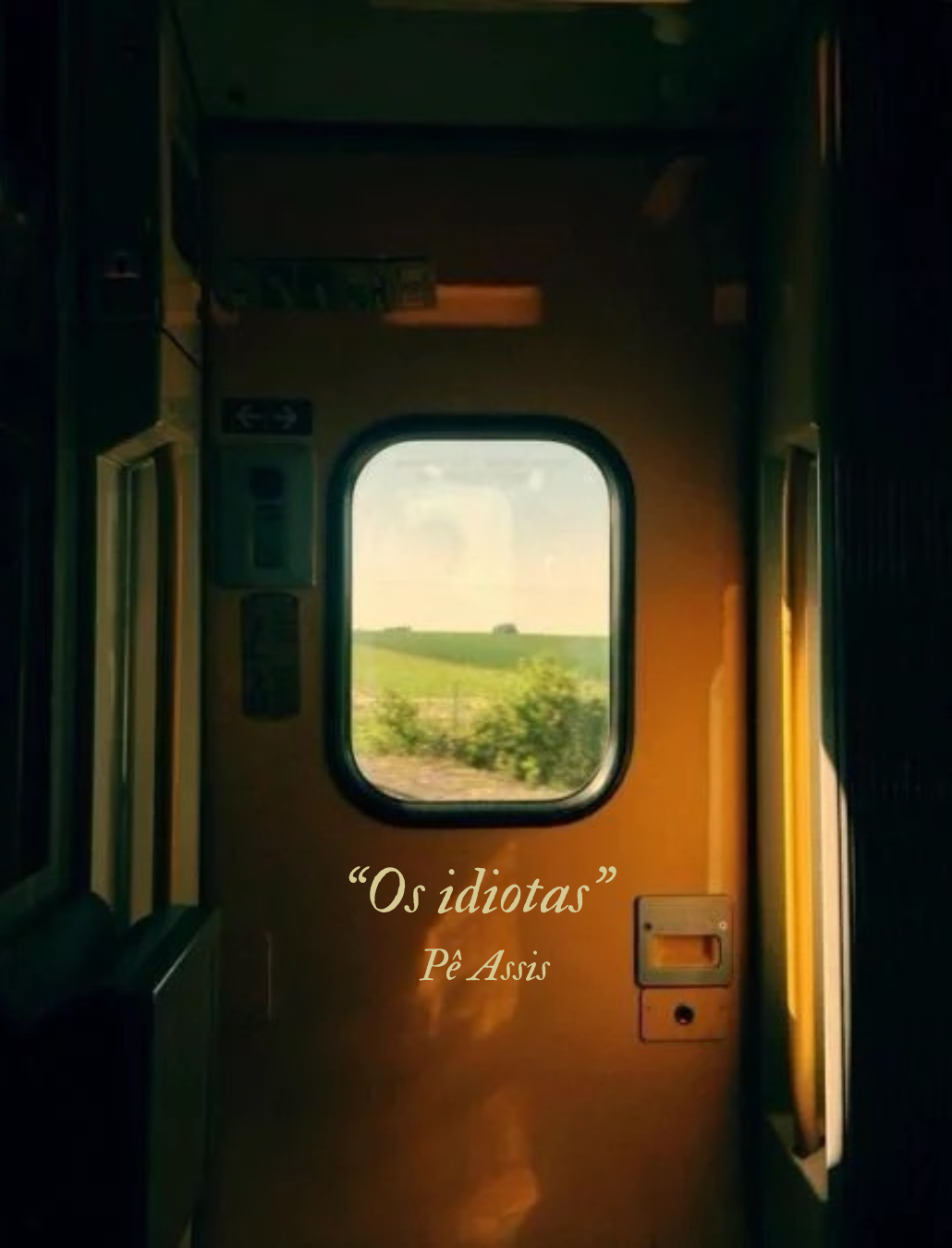 Os Idiotas