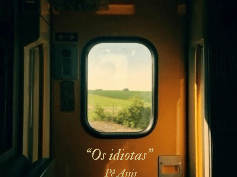 Os Idiotas
