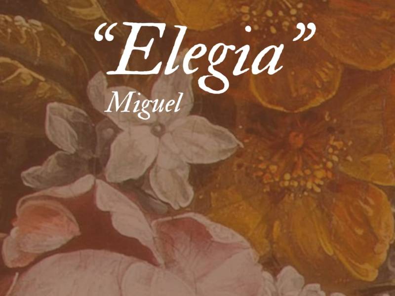 Elegia
