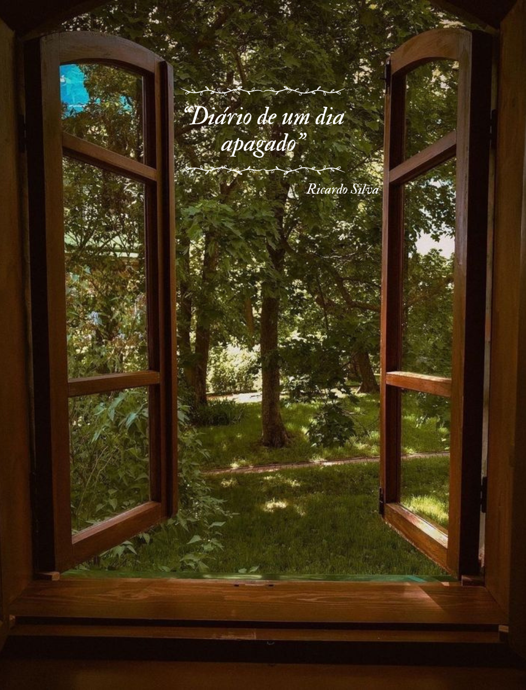 Diário de um dia apagado